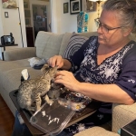 Mimi, Savannah, F-7SBT, female, BST, DOB 7-13-20