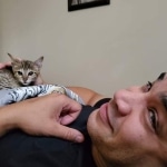 Abeo Savannah F-7SBT Male DOB 8-29-21