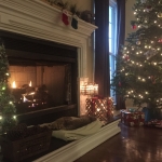 Macska and OatsMacska and Oats, Savannah, F-7SBT, Males, DOB 8-16-18