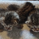 IMG_20250428_102405552