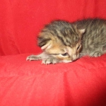 IMG_9359-800