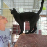 Zeva, F-2B, Black on Black, Savannah, Female, DOB 7-9-16